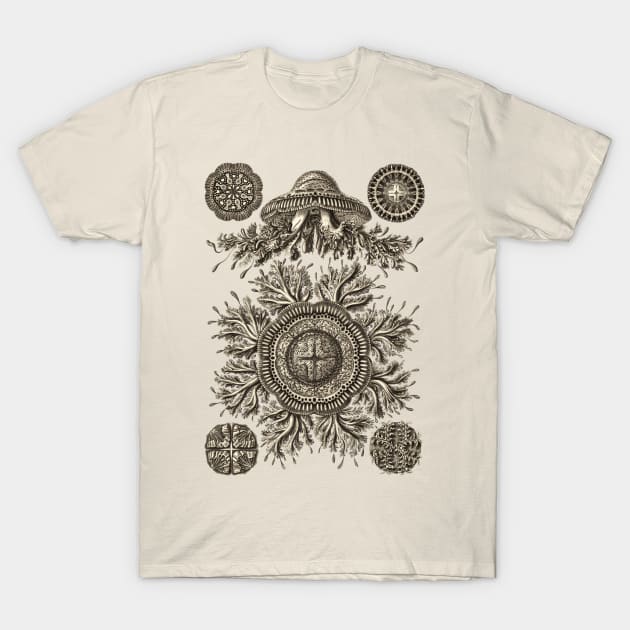 Ernst Haeckel Discomedusea Jellyfish  Wenge Plate 28 T-Shirt by Scientistudio